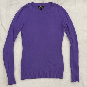 Express Fitted Crewneck Sweater